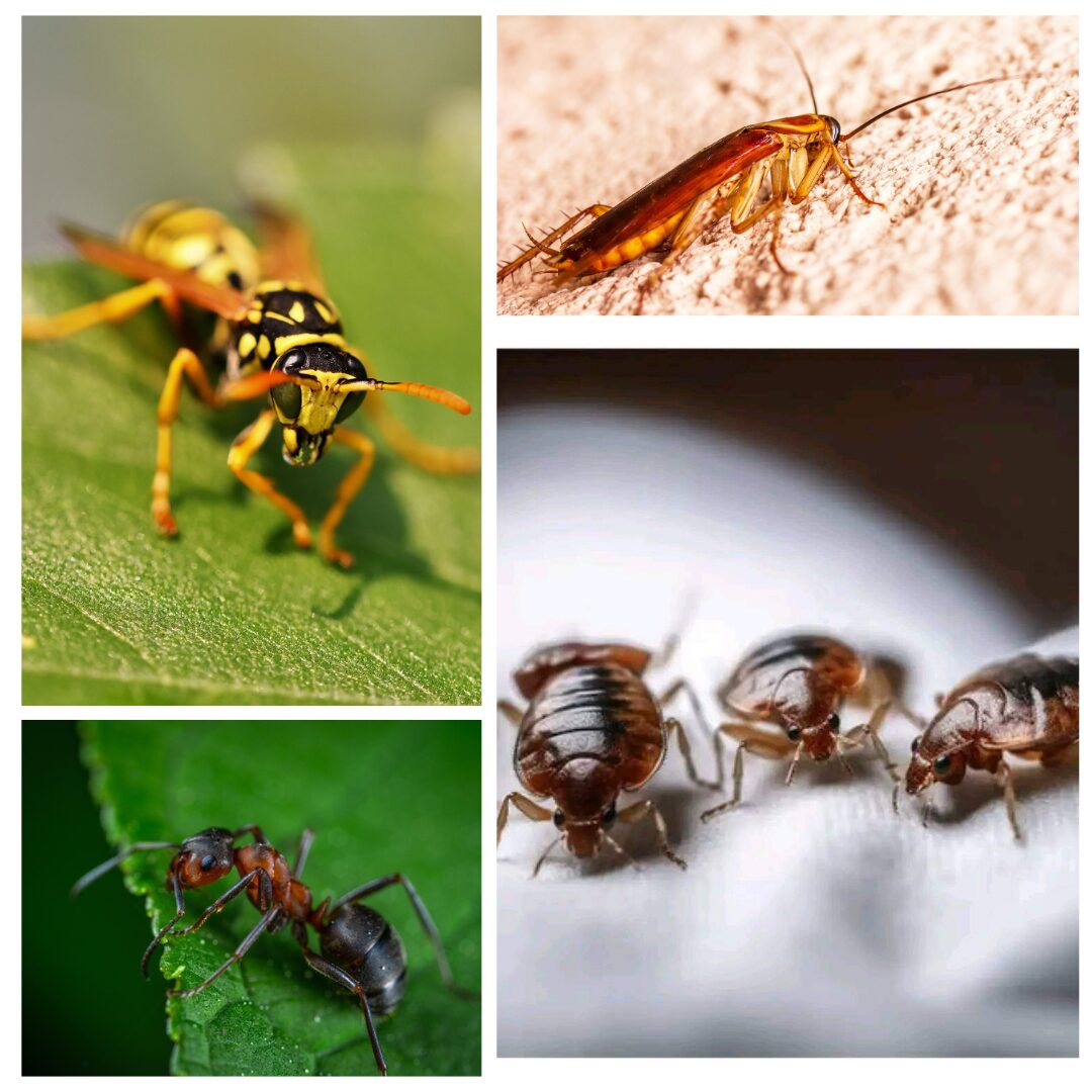 Logo micro entreprise A3D