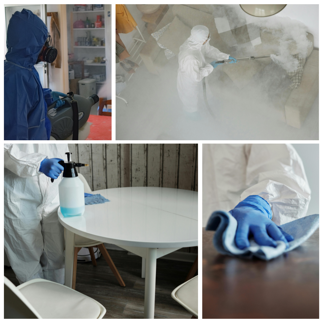 montage désinfection Logo micro entreprise A3D